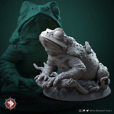 Mother of Froggls